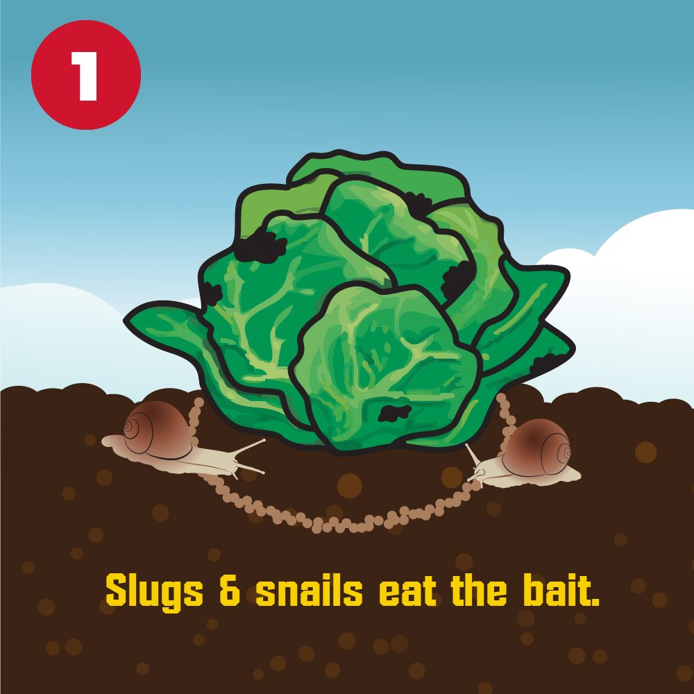 corrys slug and snail killer