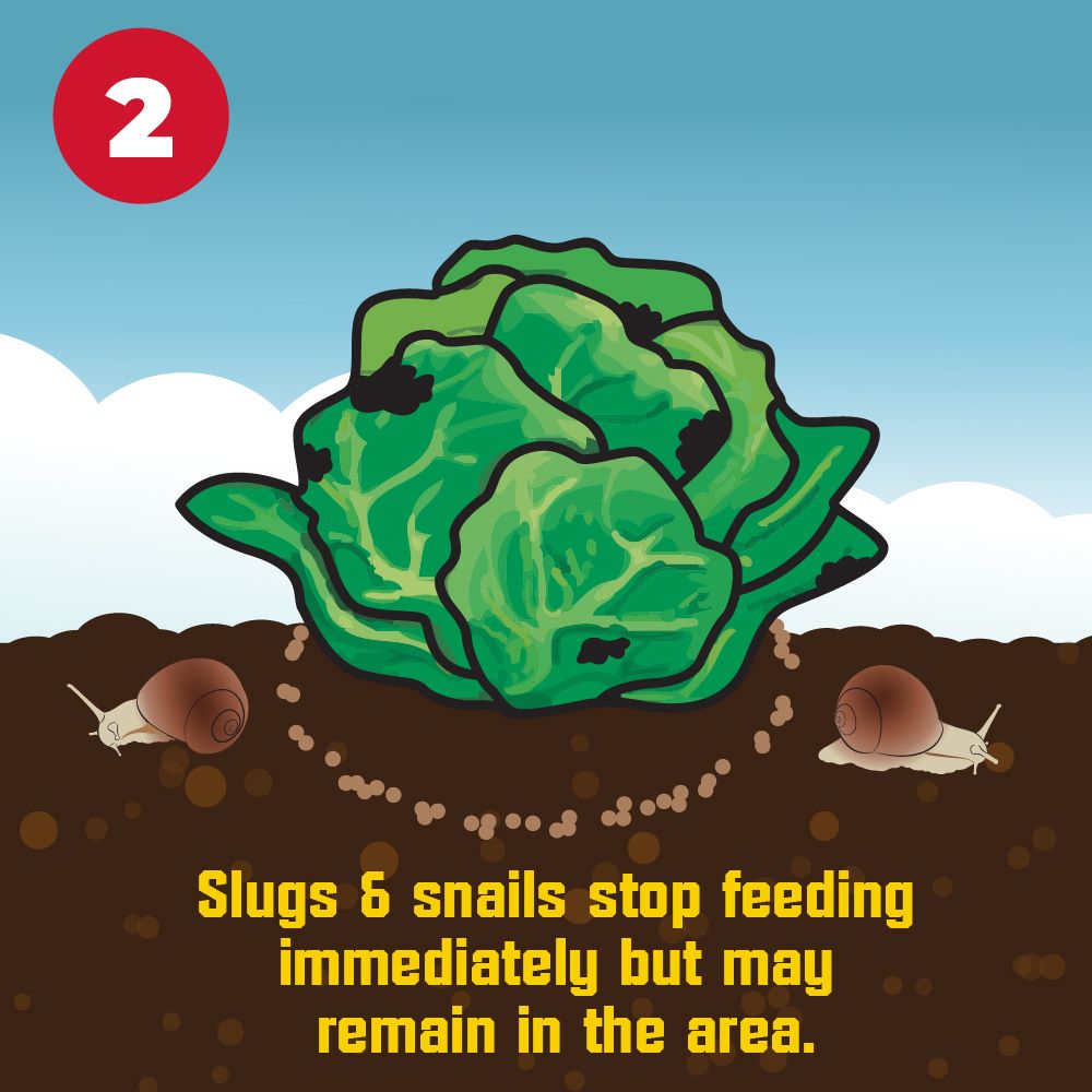corrys slug and snail killer