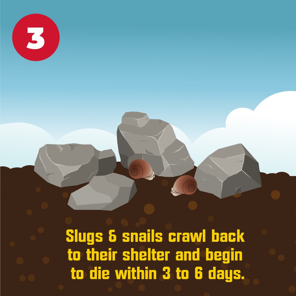 corrys slug and snail killer